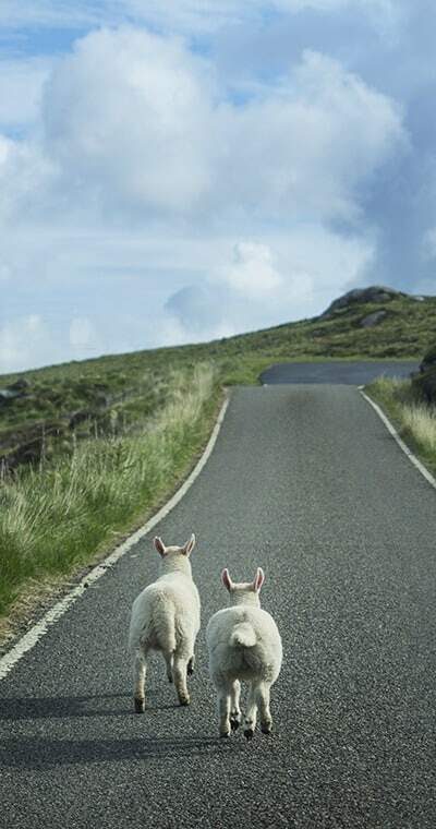 Isle of Lewis and Harris, Scotland travel photos