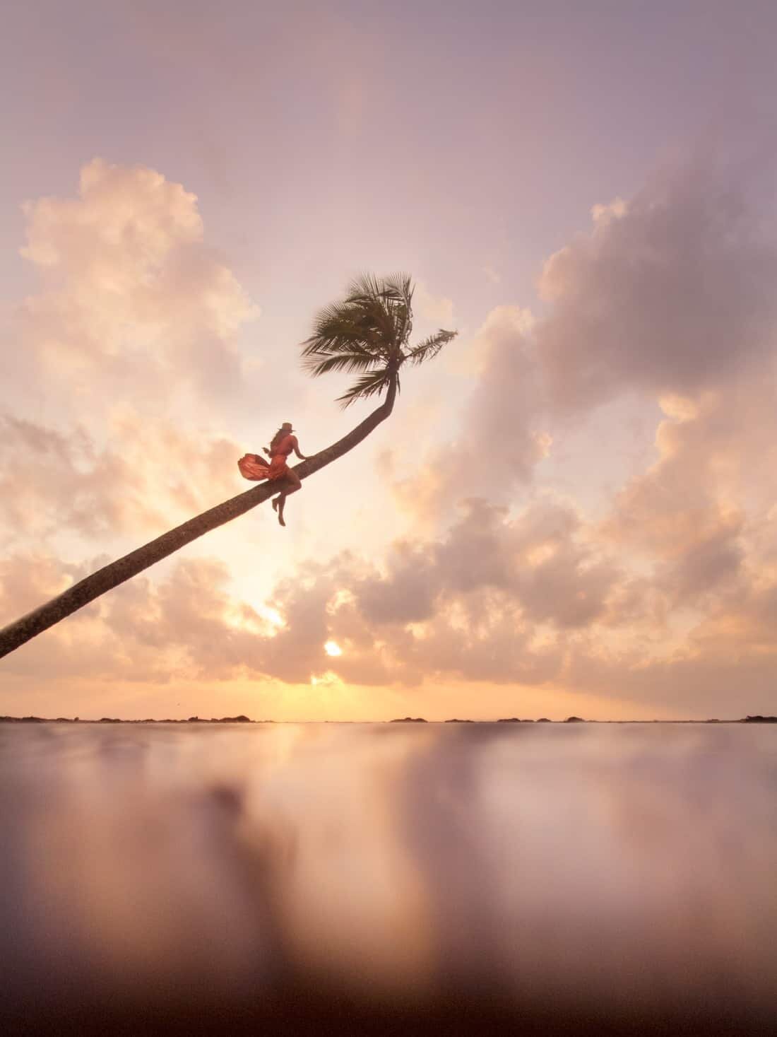 Cape Tribulation Sunrise in Tropical North Queensland, Australia