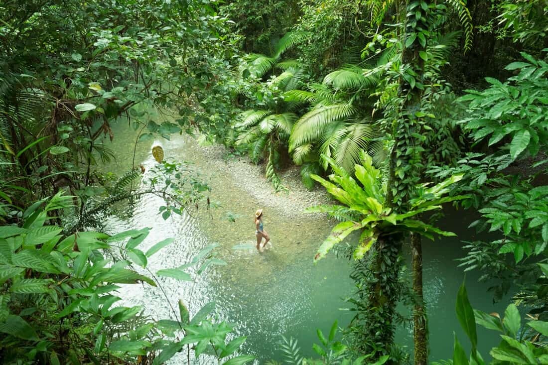 Daintree Rainforest, Tropical North Queensland Photography Locations