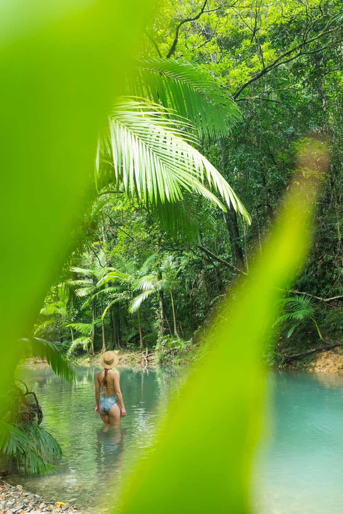 Daintree Rainforest, Tropical North Queensland Photography Locations