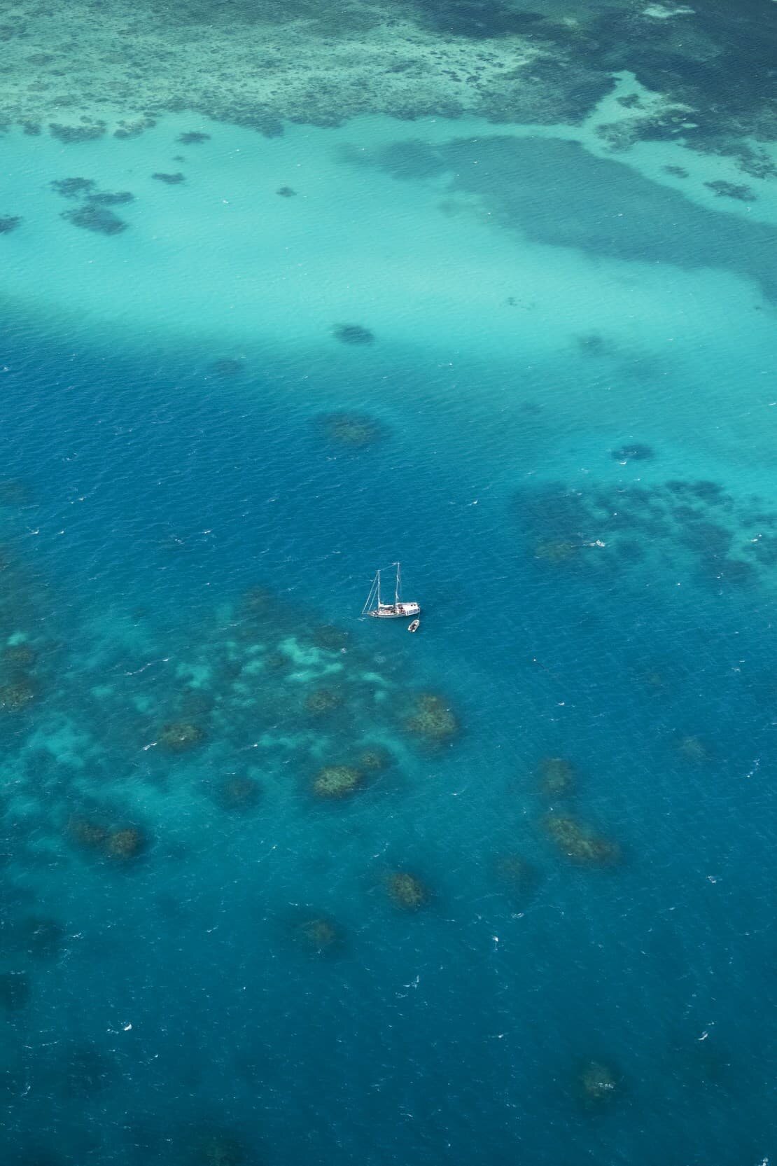 Vlasoff Cay, Cairns Australia, Great Barrier Reef.