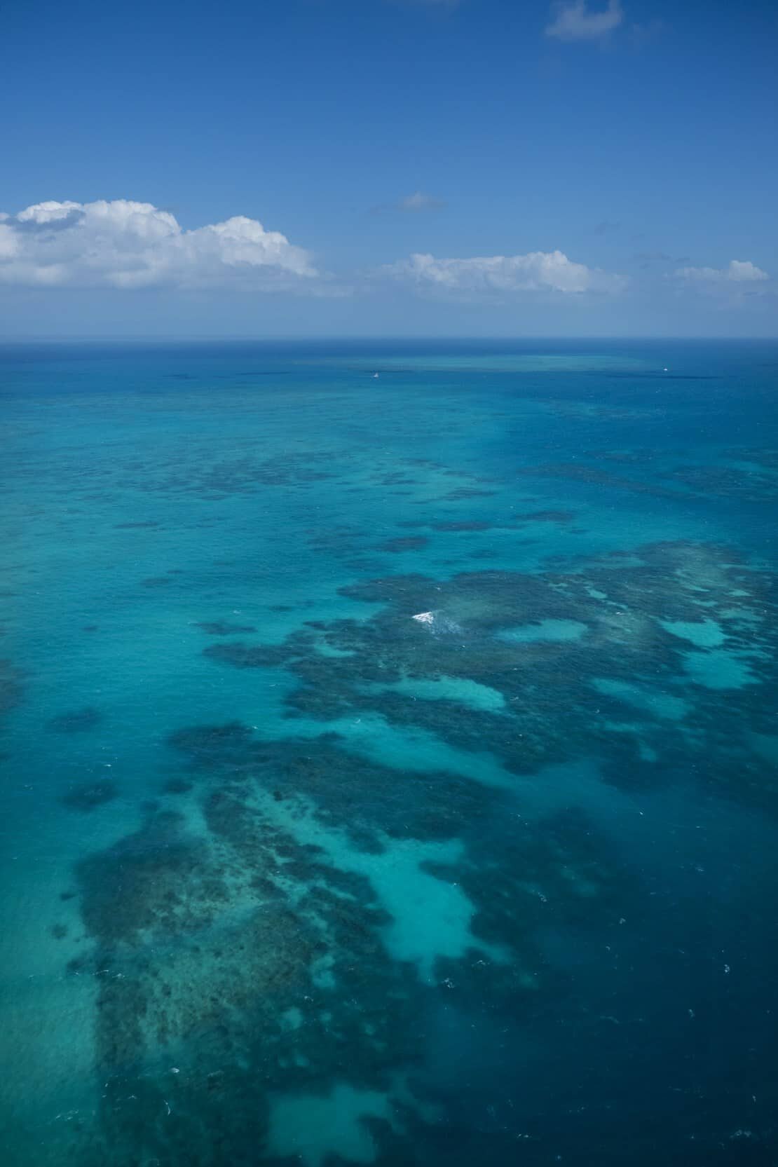 Vlasoff Cay, Cairns Australia, Great Barrier Reef.