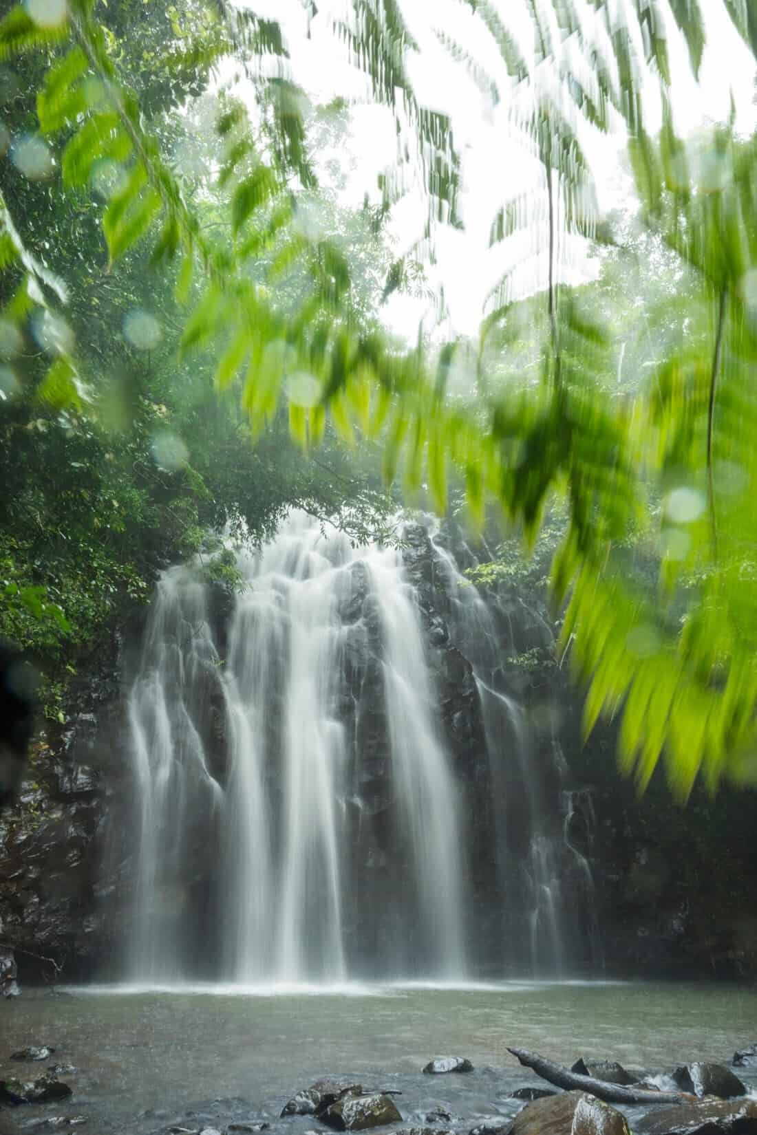 Millaa Millaa Waterfall Tropical North Queensland Photography Locations and Beautiful places