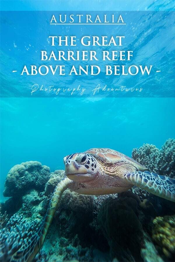 Great Barrier Reef Day Trips and Photograpyh Experiences above and below the water