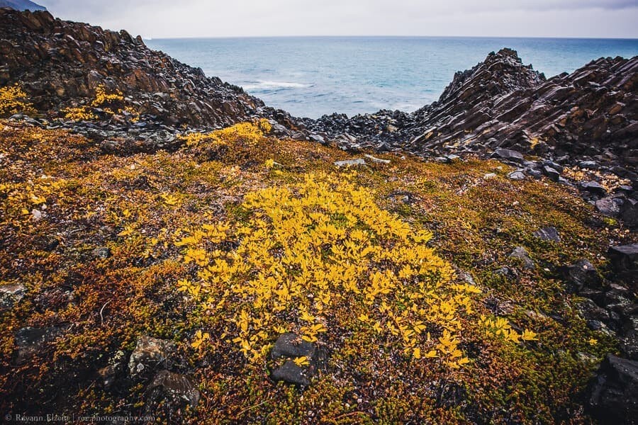 Basalt rock formations along the coast of Qeqertarsuaq in Greenland