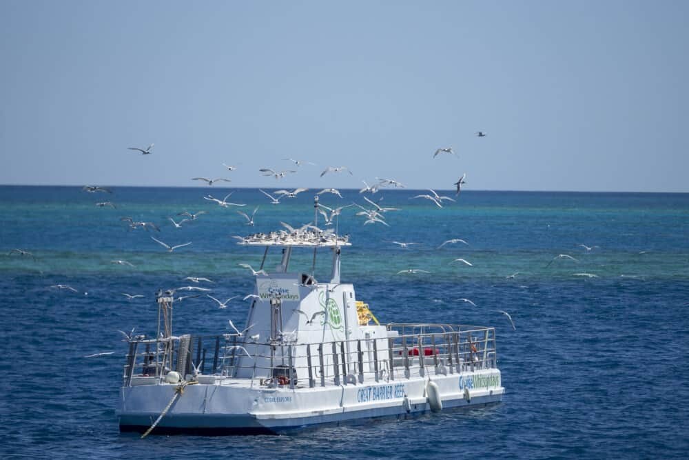 Reefsleep, Great Barrier Reef with Cruise Whitsundays, Airlie Beach