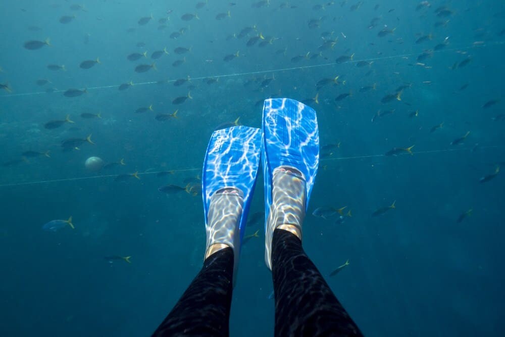 Reefsleep, Great Barrier Reef with Cruise Whitsundays, Airlie Beach