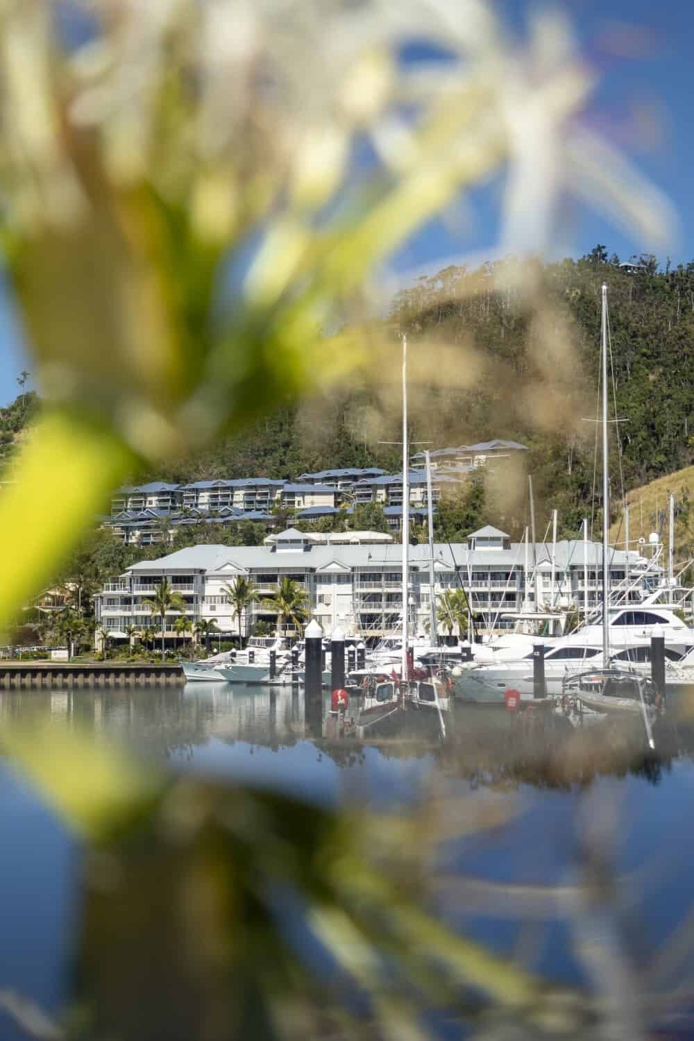 Where to stay in Airlie Beach? At the Mantra Boathouse Apartments, Airlie Beach, Queensland