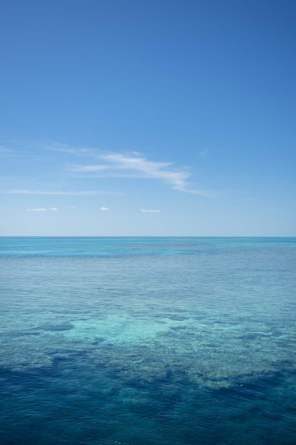 Reefsleep, Great Barrier Reef with Cruise Whitsundays, Airlie Beach