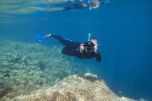 Photography Experiences in the Whitsunday Islands, Queensland, Australia