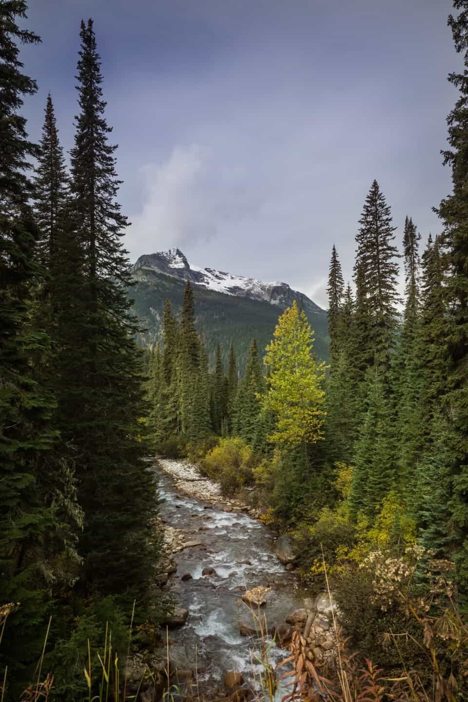 Rogers Pass, Kootenay Rockies