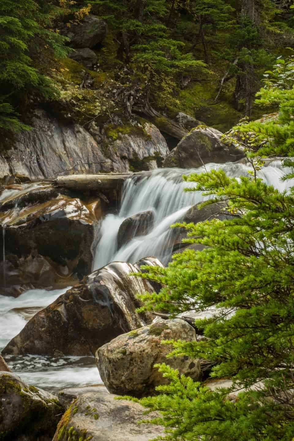 Rogers Pass, Kootenay Rockies