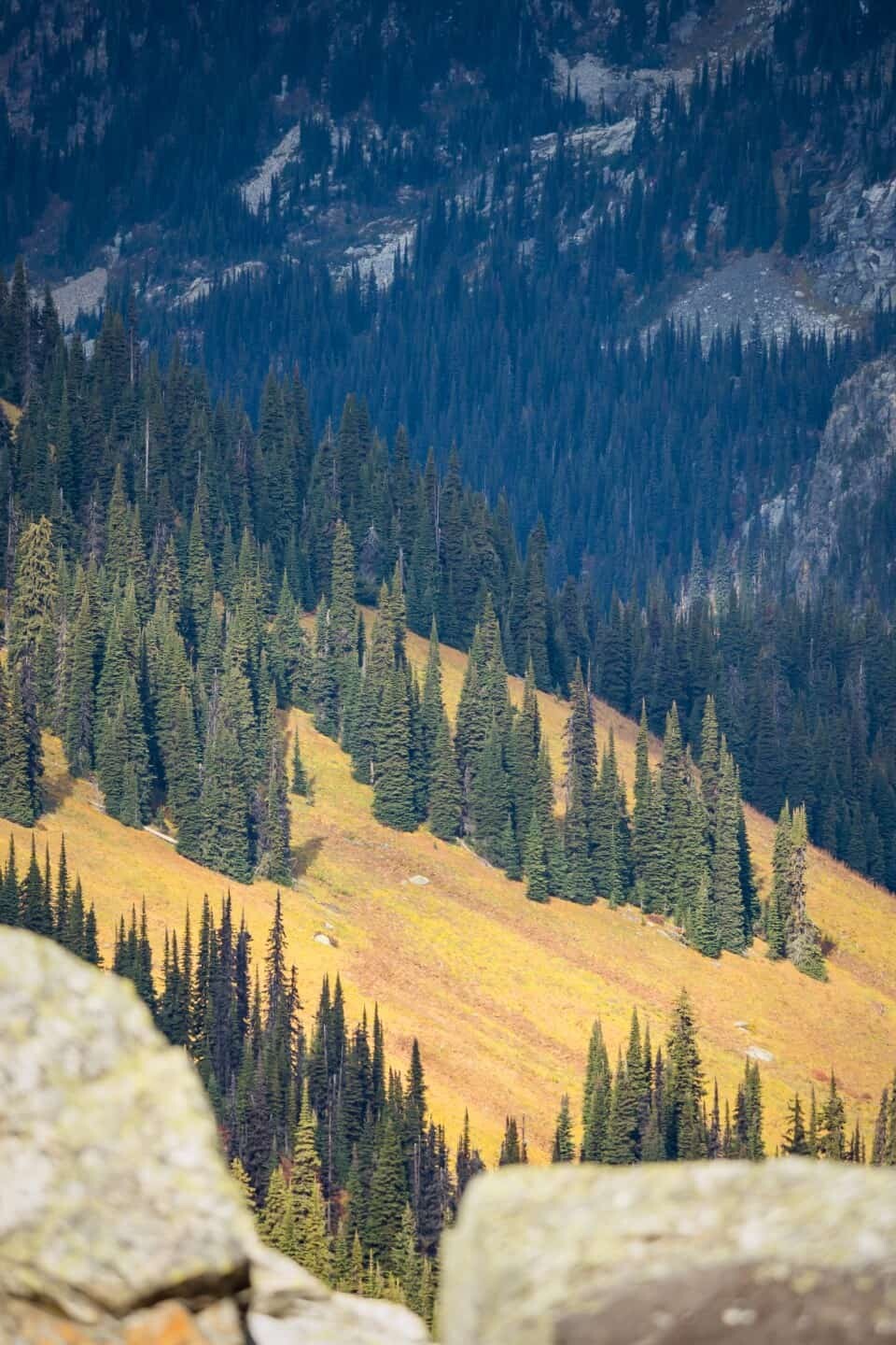 Meadows in the Sky Parkway, Revelstoke, Canada