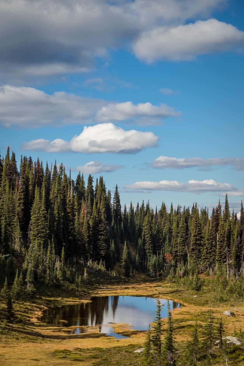 Meadows in the Sky Parkway, Revelstoke, Canada