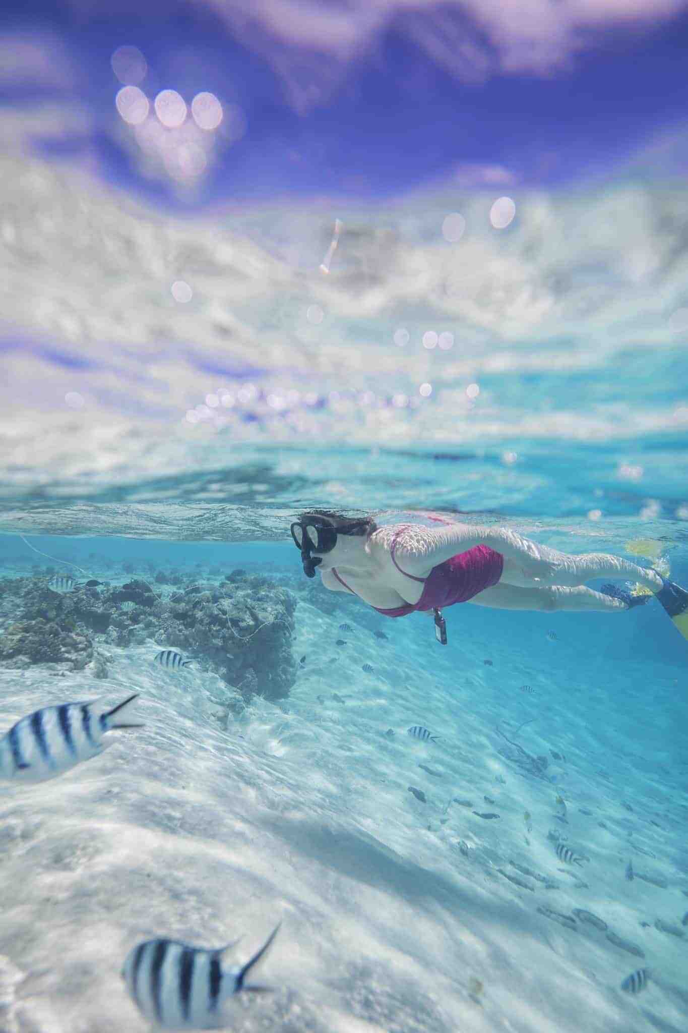 Vanuatu Underwater Photography Retreat
