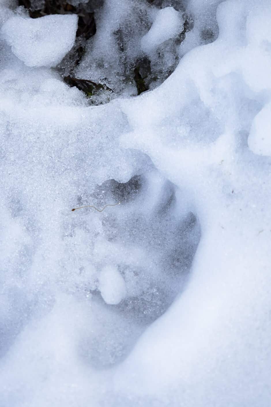 Purcell Mountain Lodge, Golden British Columbia, Canada