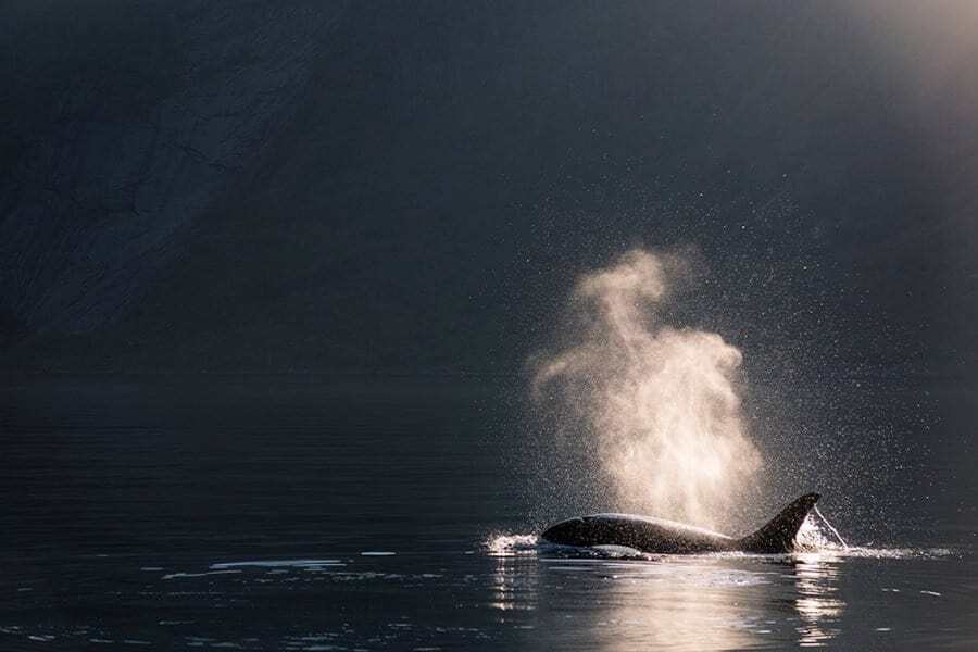 Photographer Neil Bloem Interview - Lofoten Islands