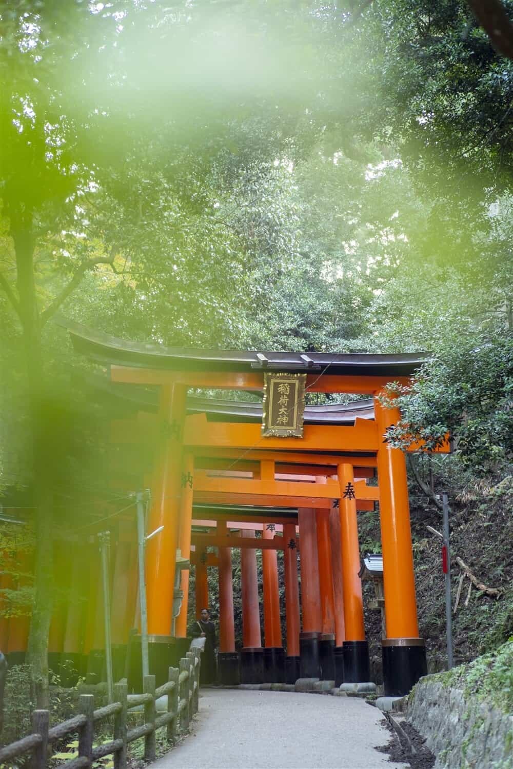 Fushimi Inari Shrine Kyoto - When to visit and how to take great photos of the torii gates