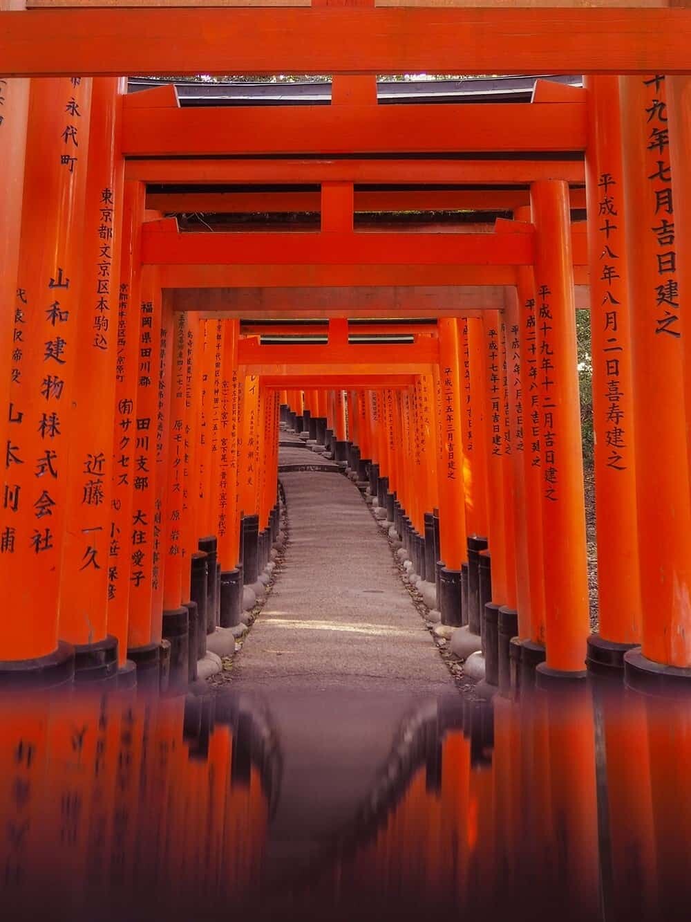 Inari Schrein Kyoto Fushimi Inari Shrine 1000 Torii Gates JSAK