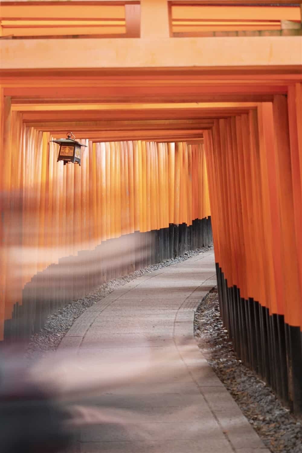 Fushimi Inari Shrine Kyoto - When to visit and how to take great photos of the torii gates