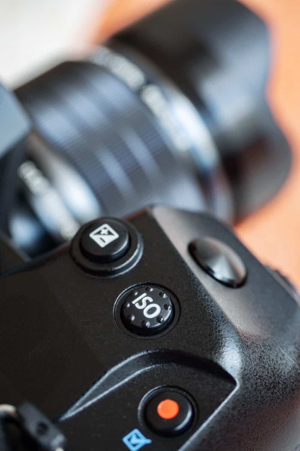 Olympus OM-D E-M1X Camera Review