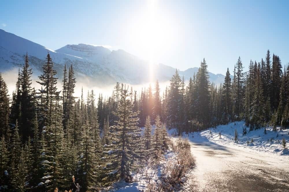 Banff National Park Photography Guide - Peyto Lake