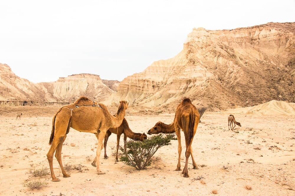 Iran travel guide and photography locations