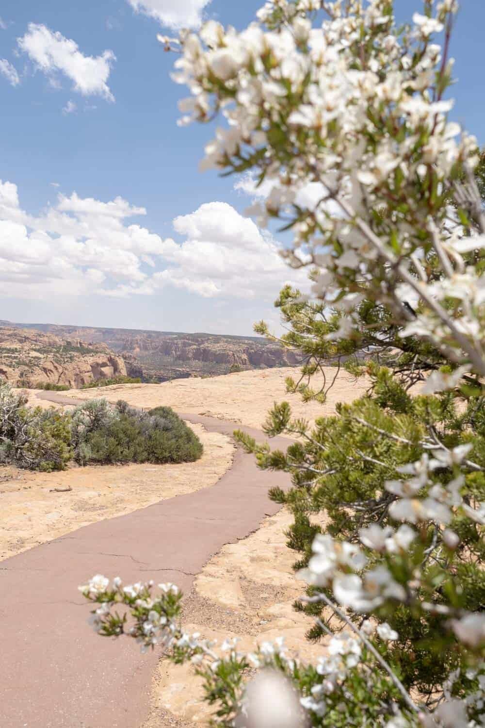 Navajo National Monument Arizona Photography Locations