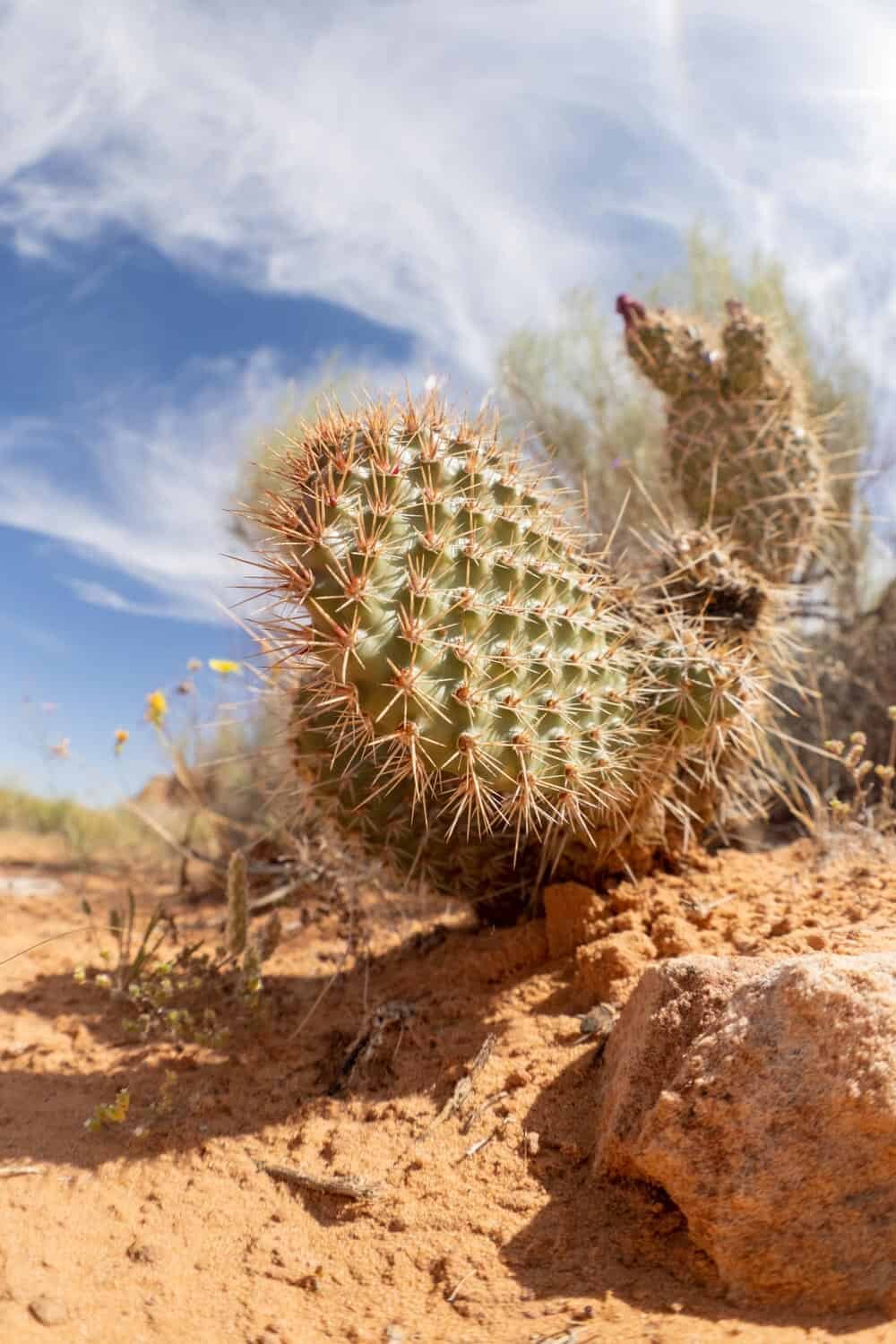 Arizona secret slot canyon tour