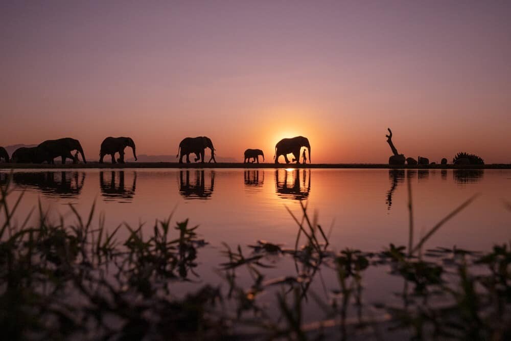 Jabulani South Africa - Hoedspruit Safari