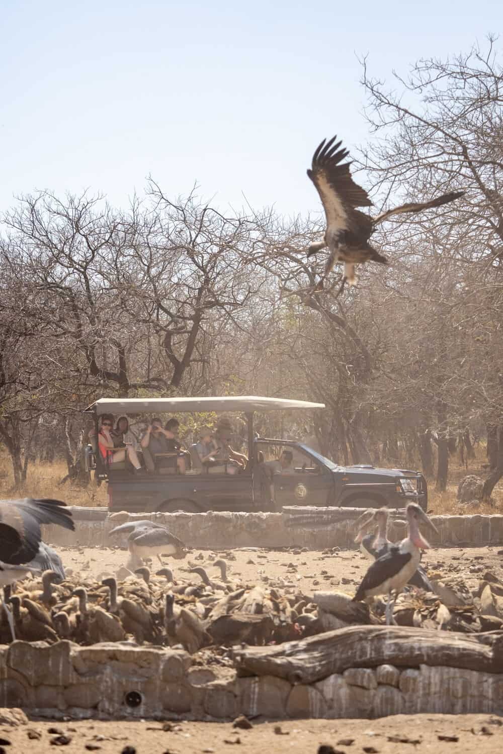 HESC, Hoedspruit, South Africa