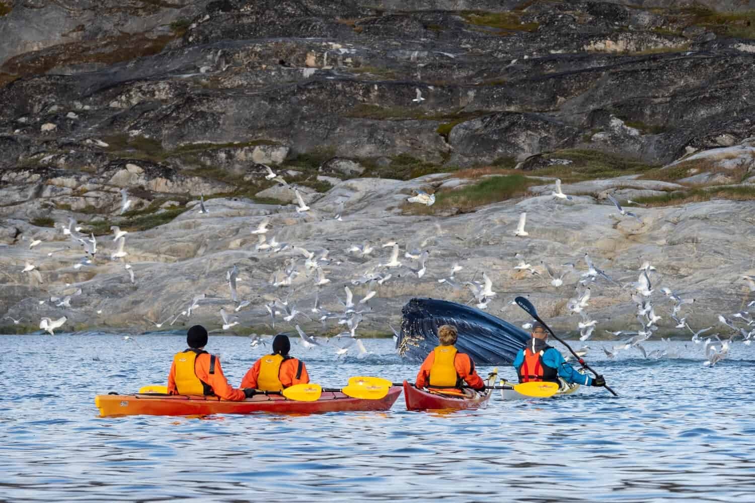 Ilulissat Greenland Photography Locations