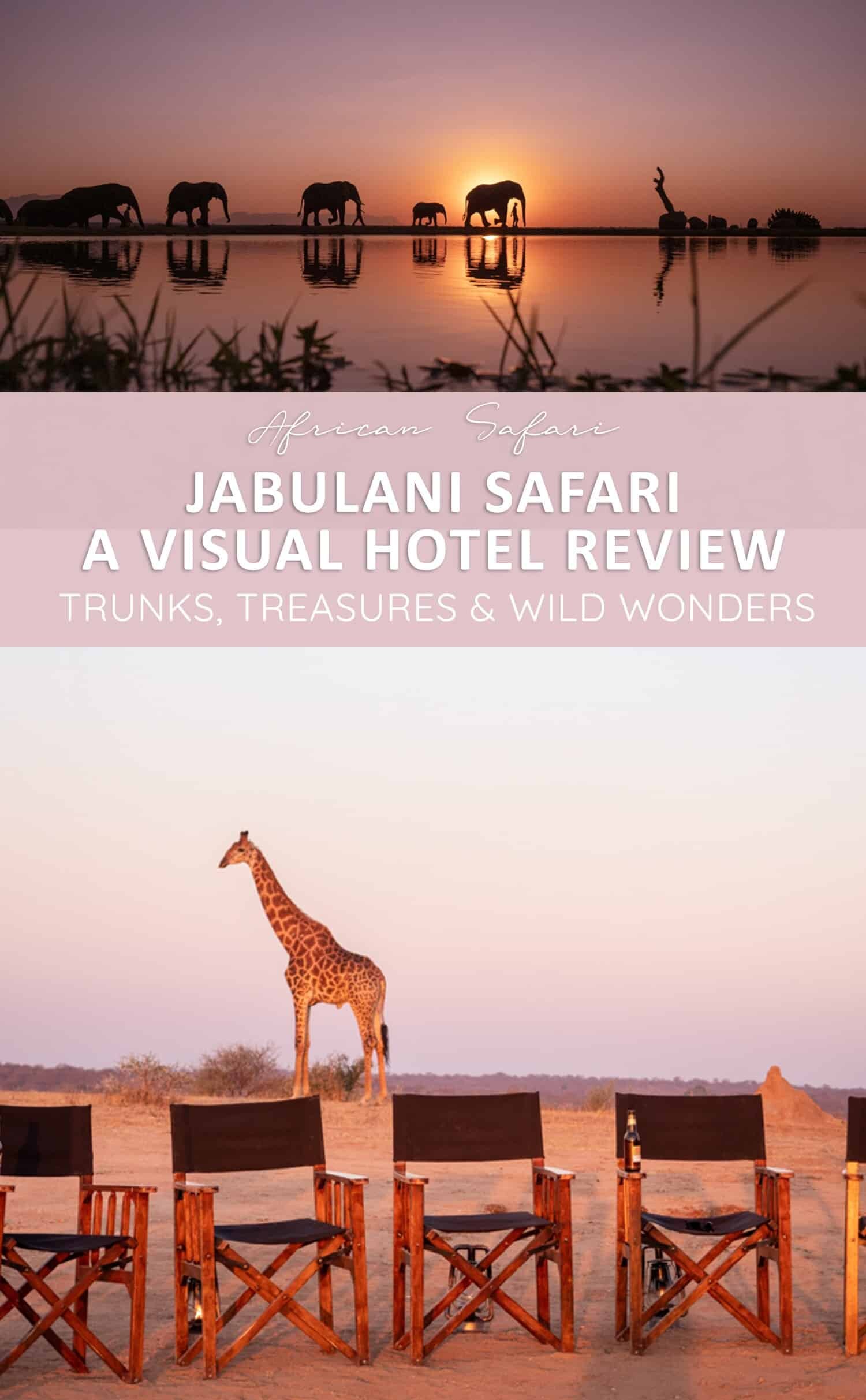 Trunks, Treasures and the Jabulani Safari Experience
