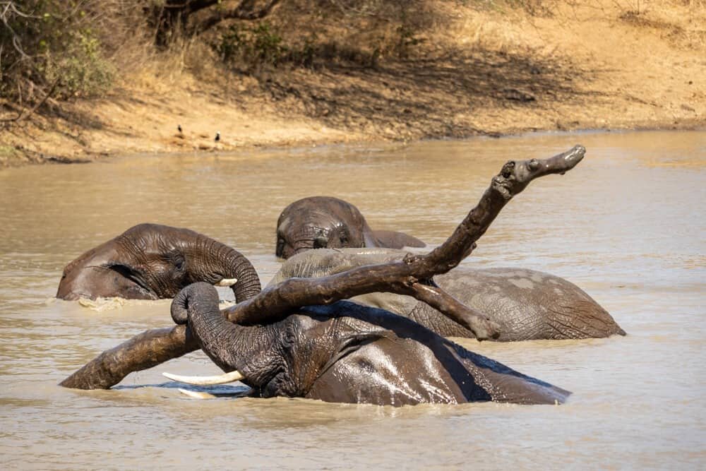 Jabulani Safari South Africa