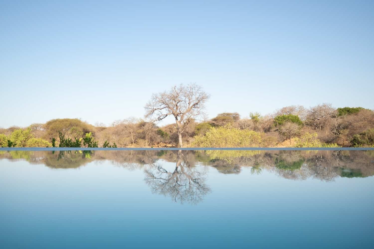 Kapama Karula, South African Safari Lodge