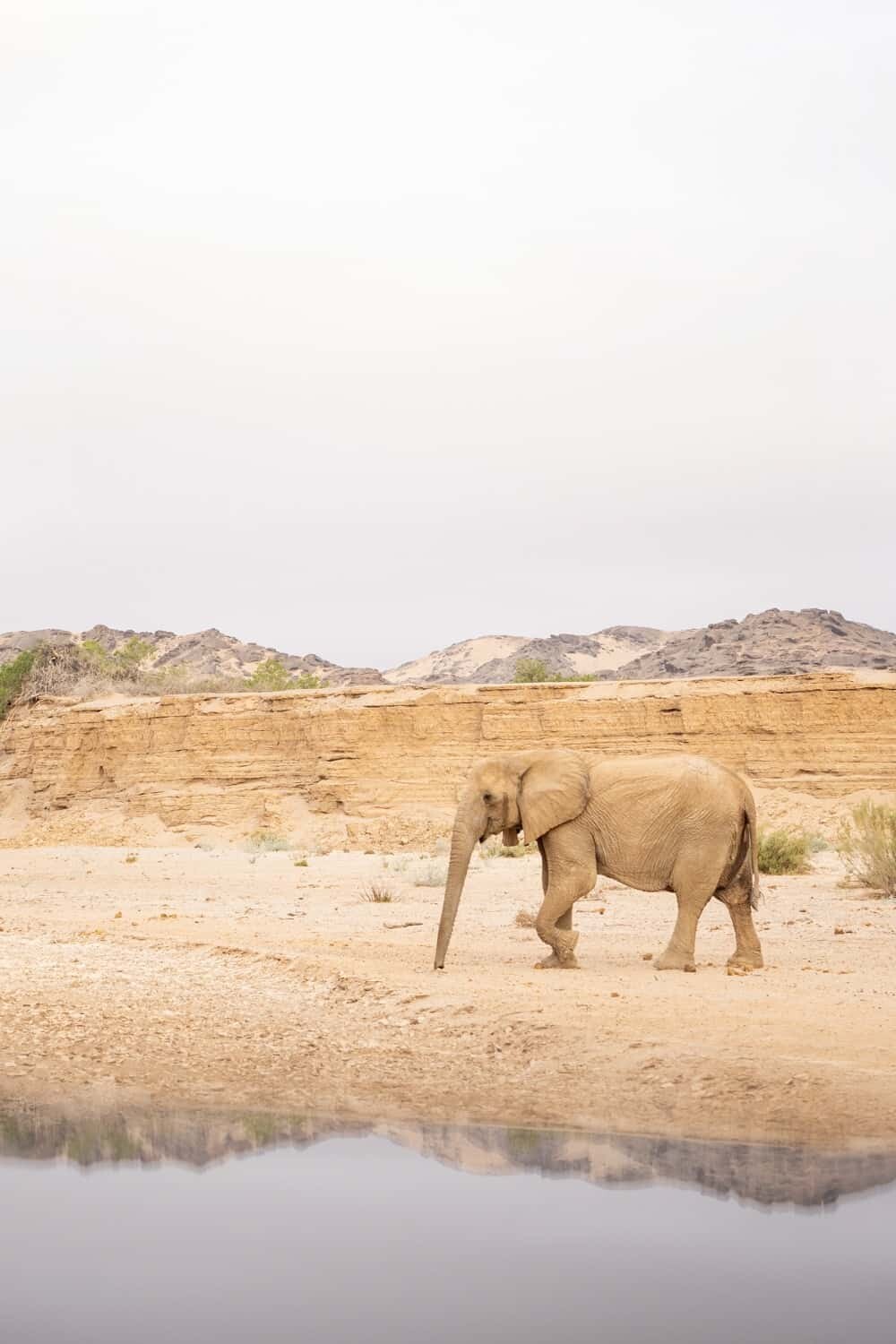 Hoanib Skeleton Coast Namibia