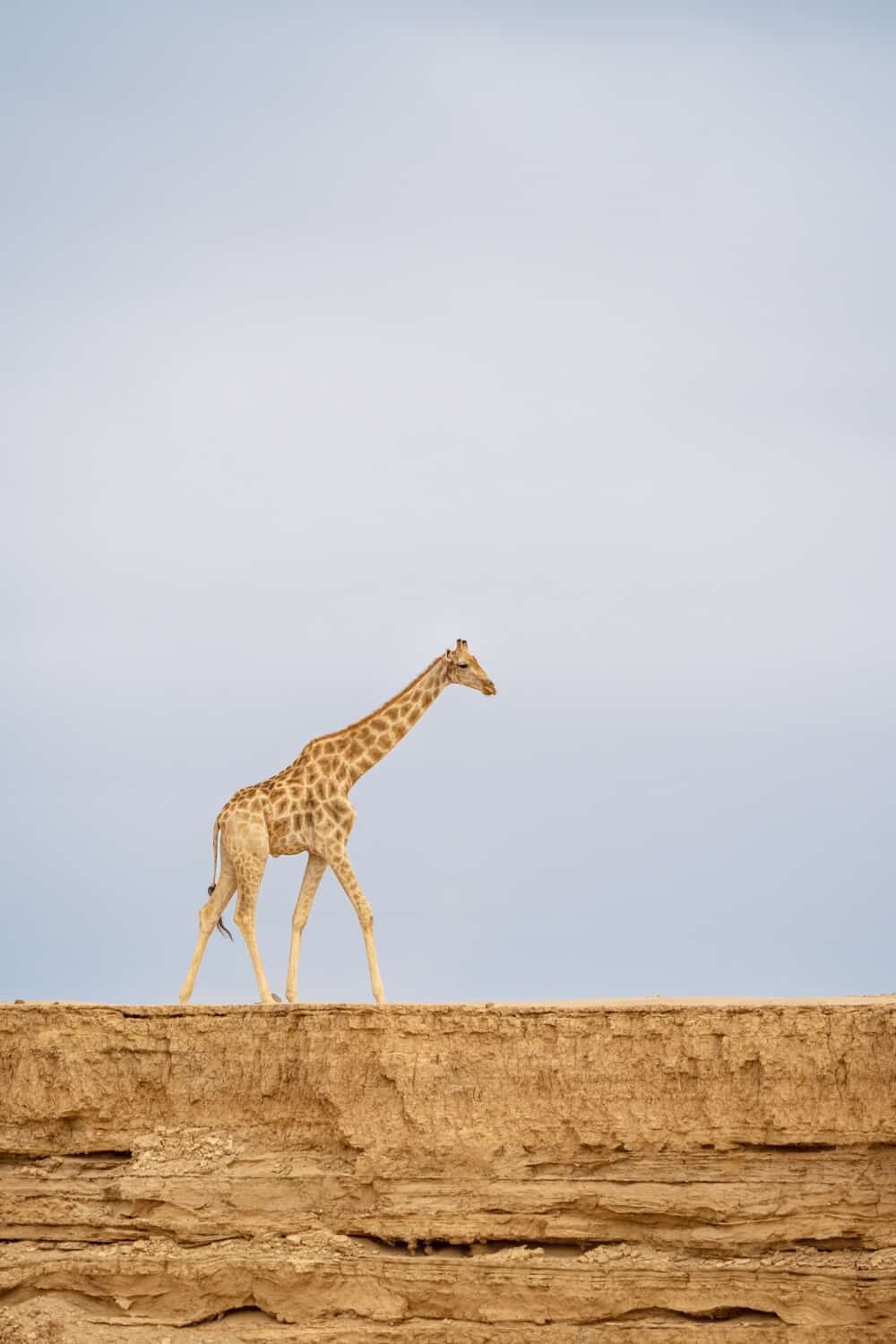 Hoanib Skeleton Coast Namibia