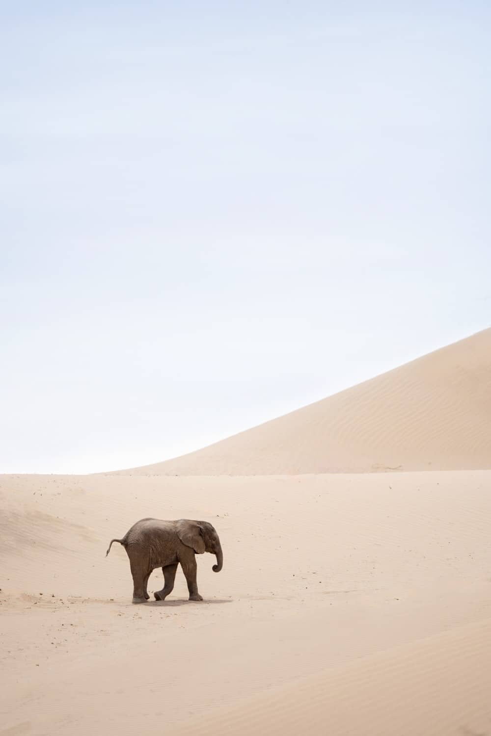 Hoanib Skeleton Coast Namibia