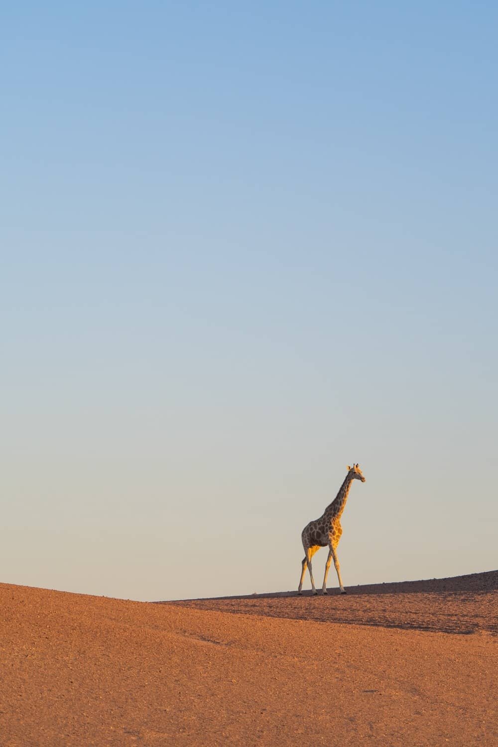 Hoanib Skeleton Coast Namibia