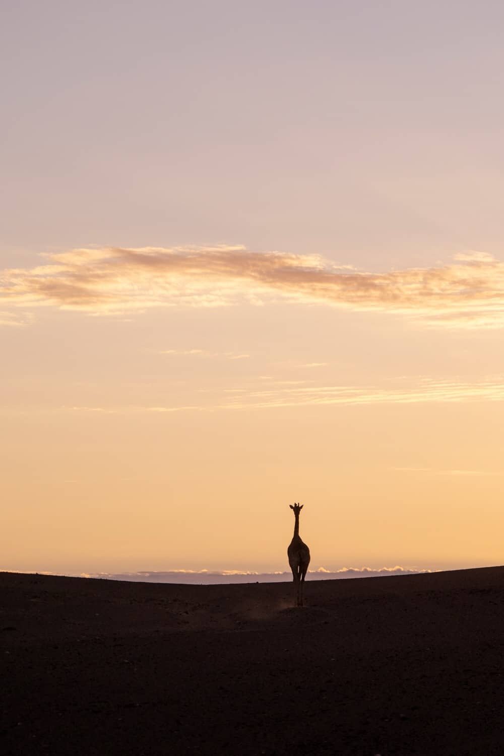 Hoanib Skeleton Coast Namibia