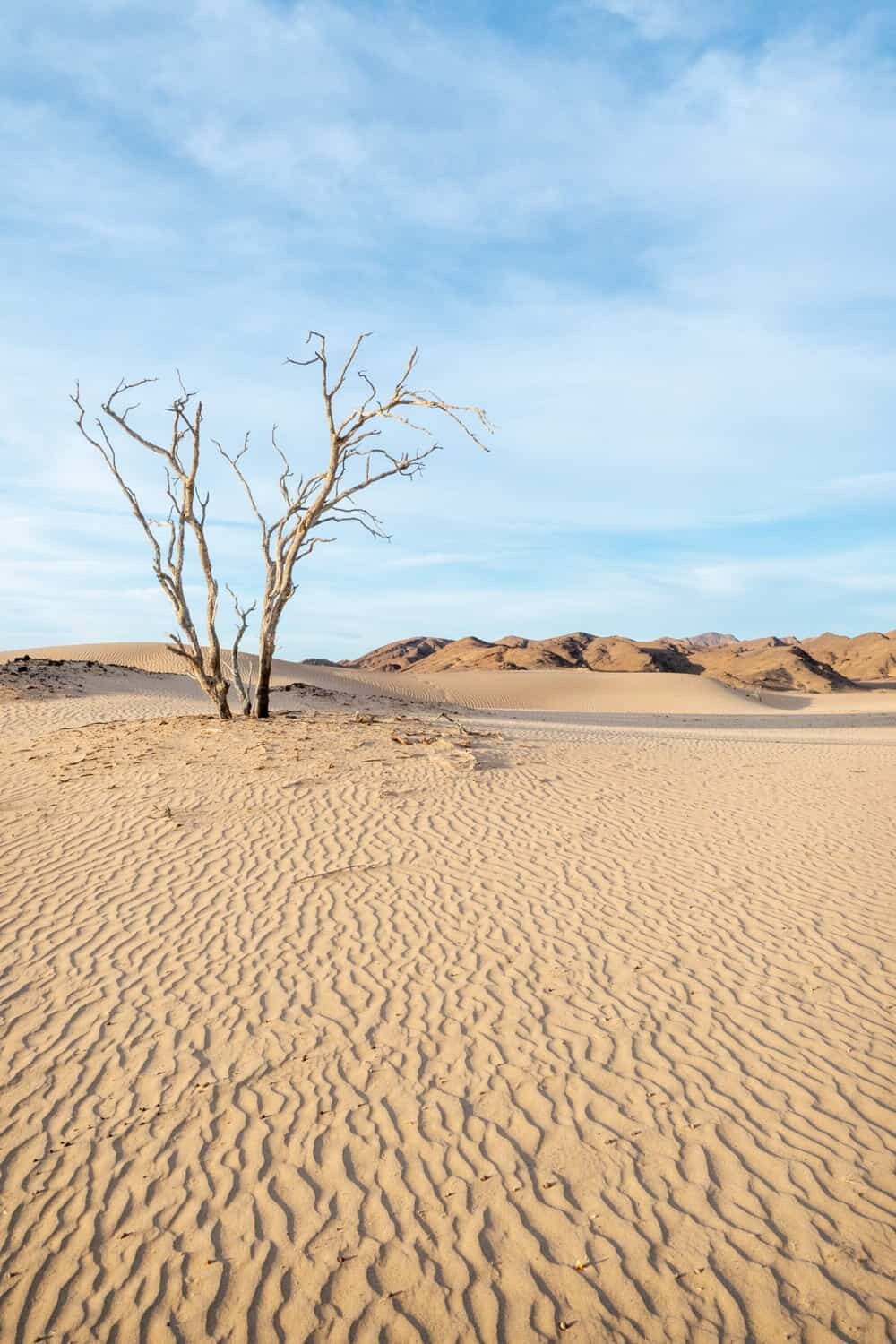 Hoanib Skeleton Coast Namibia