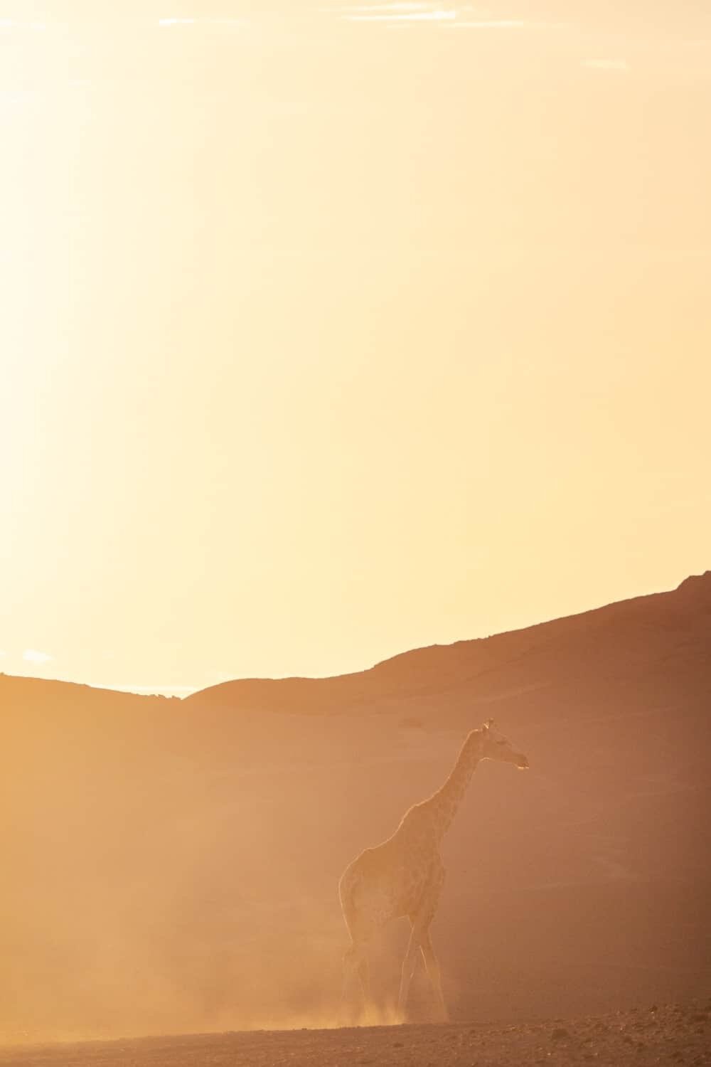 Hoanib Skeleton Coast Namibia