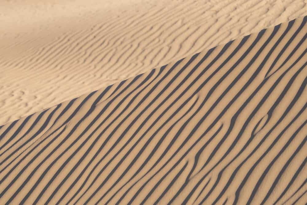 Hoanib Skeleton Coast Namibia