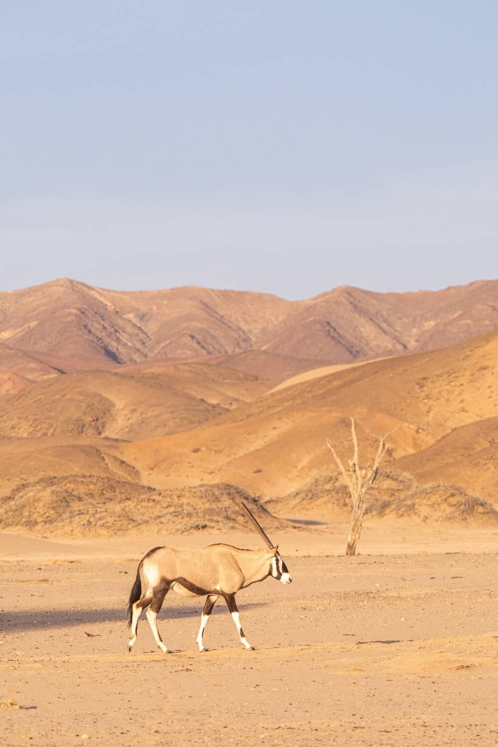 Hoanib Skeleton Coast Namibia