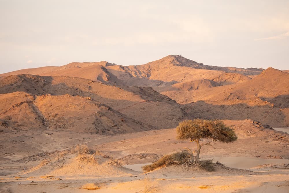 Hoanib Skeleton Coast Namibia