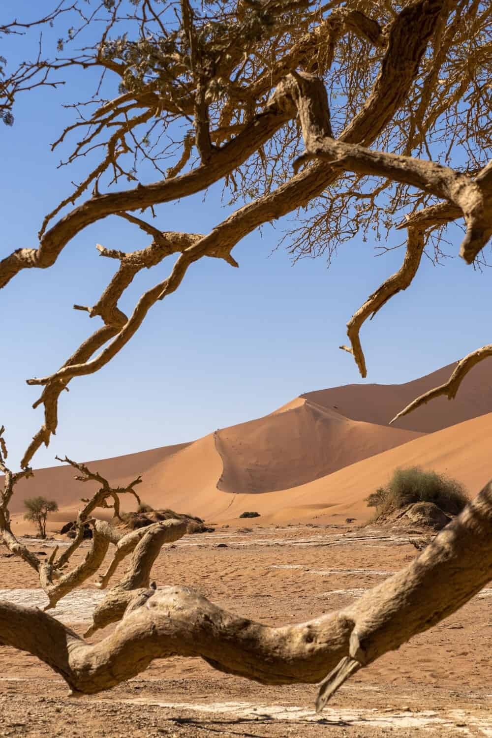 Kulala Desert Lodge, Wilderness Safaris Namibia