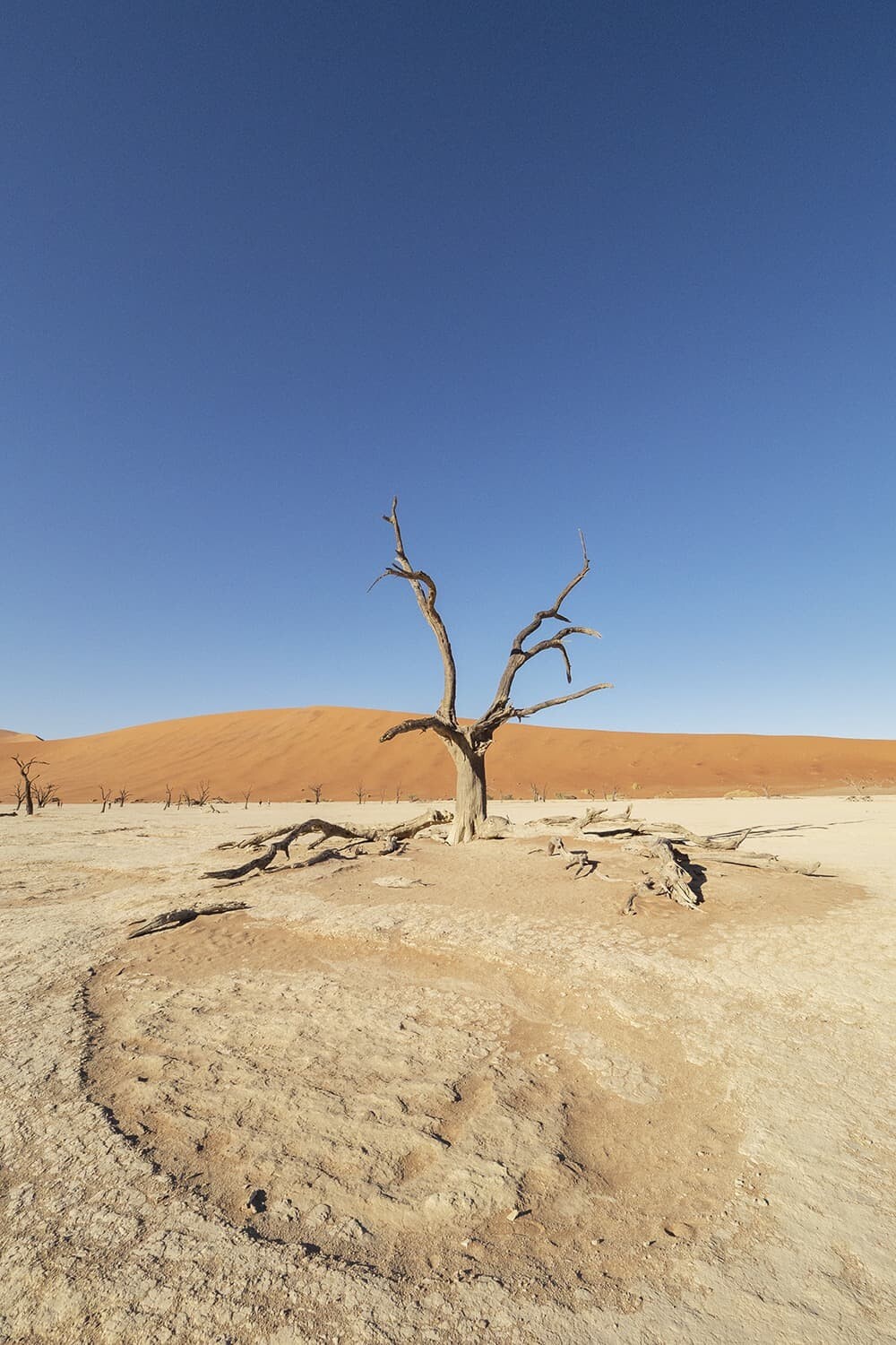 Kulala Desert Lodge, Wilderness Safaris Namibia