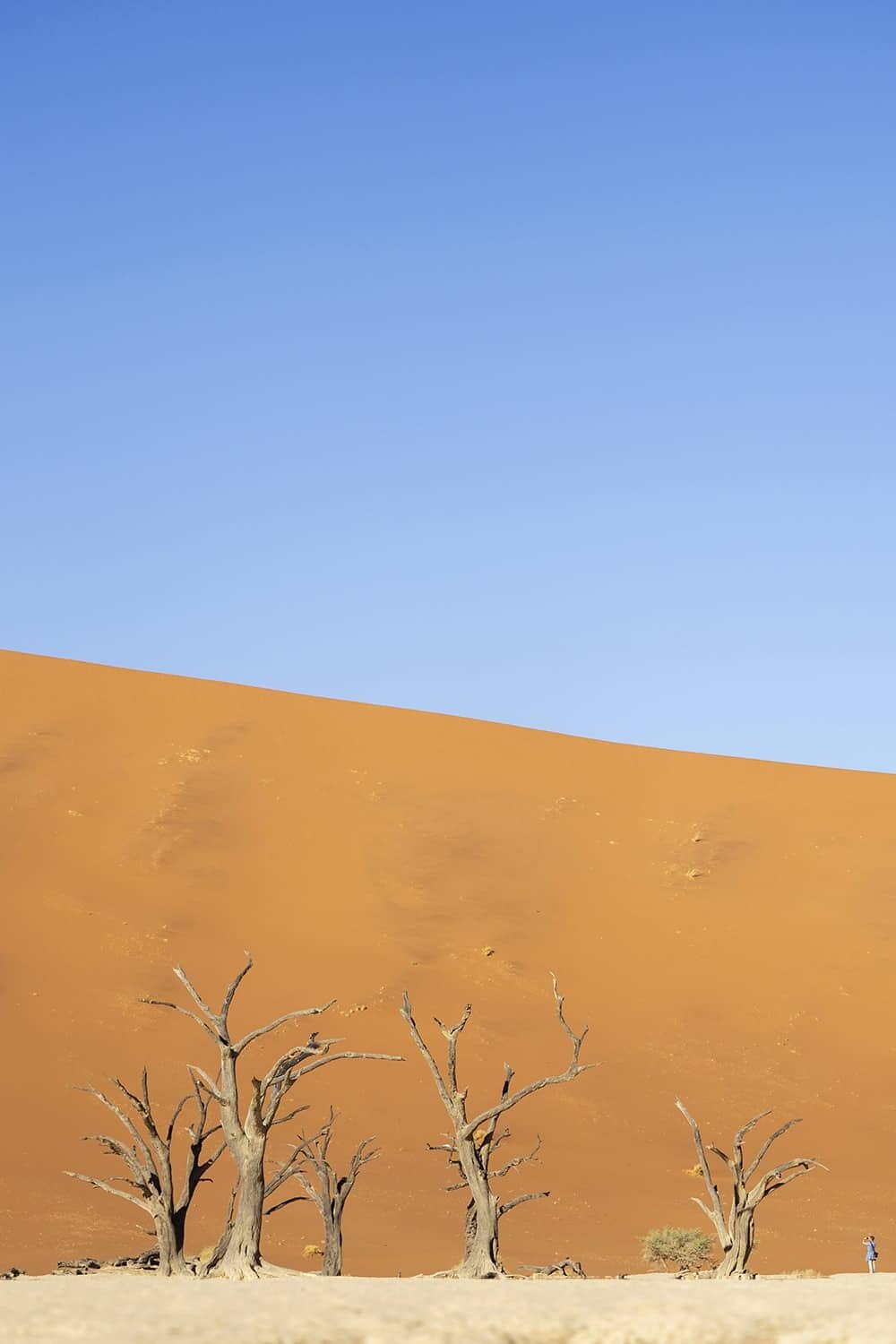 Kulala Desert Lodge, Wilderness Safaris Namibia