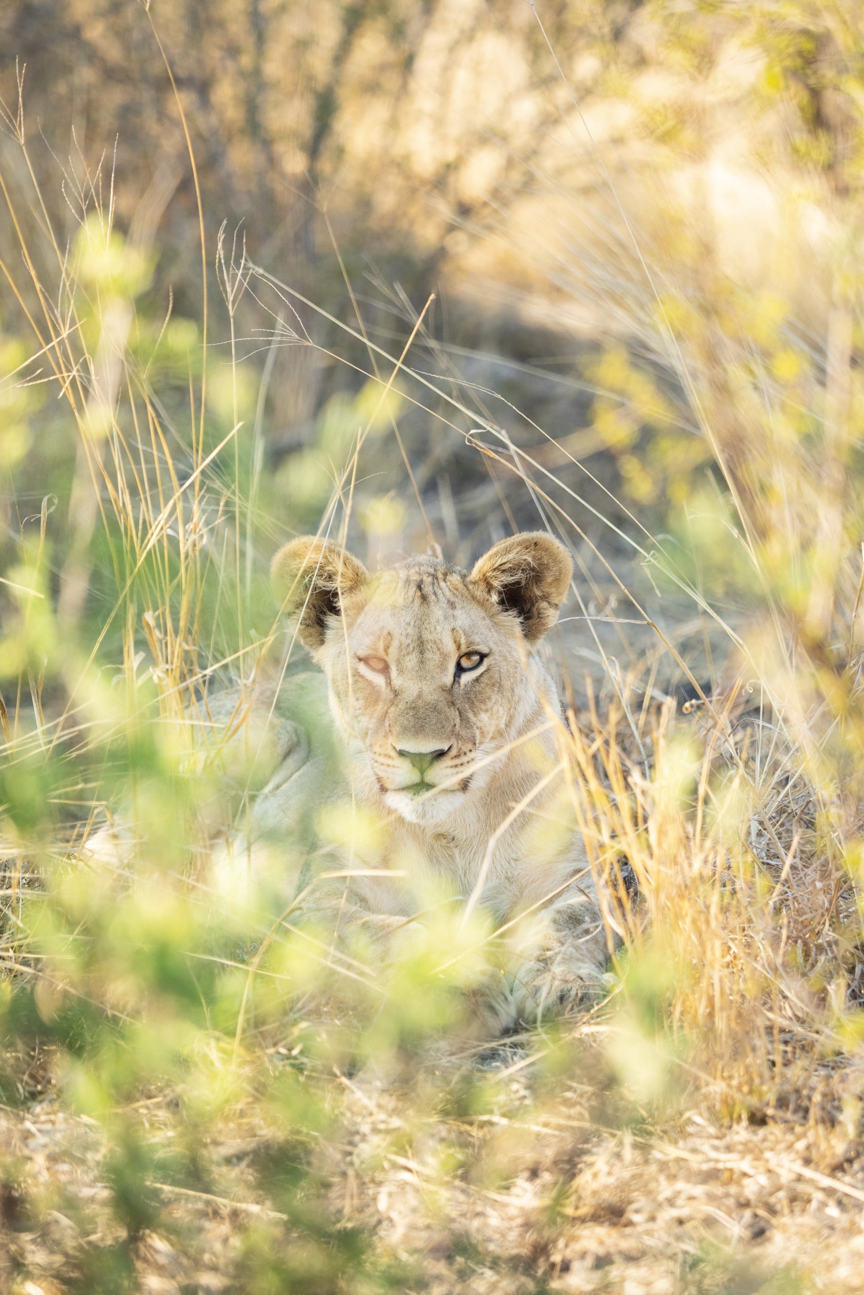 Depth of Field in Photography