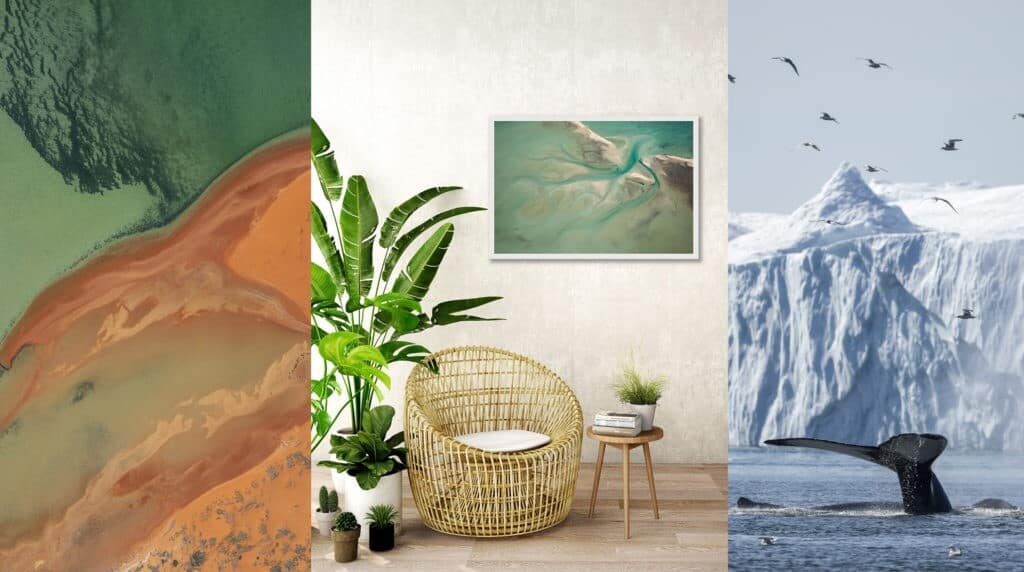 The Wandering Lens print store